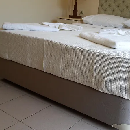 Sahin Palace 3* İçmeler