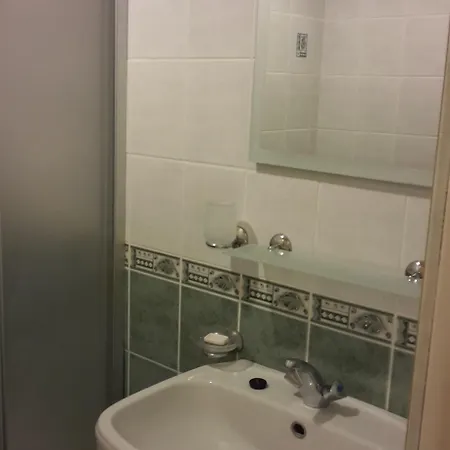 Hotel Sahin Palace