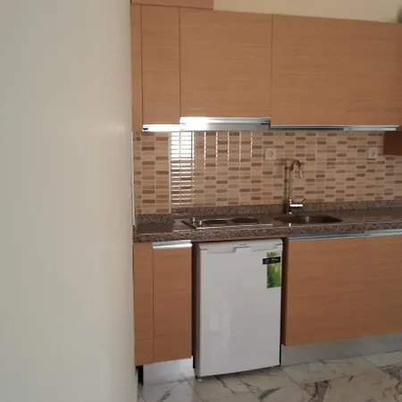 Sahin Palace מלון