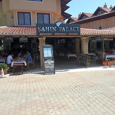 Hotel Sahin Palace