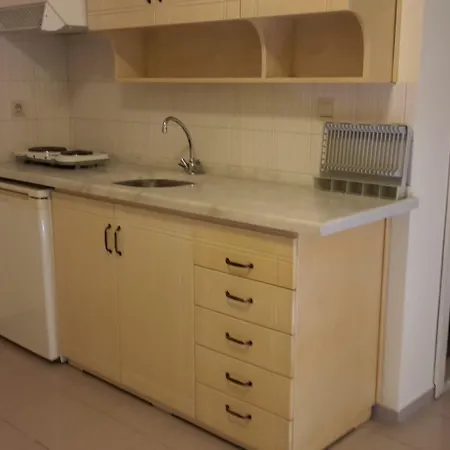 Sahin Palace Icmeler