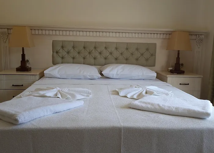 ホテル Sahin Palace 3*