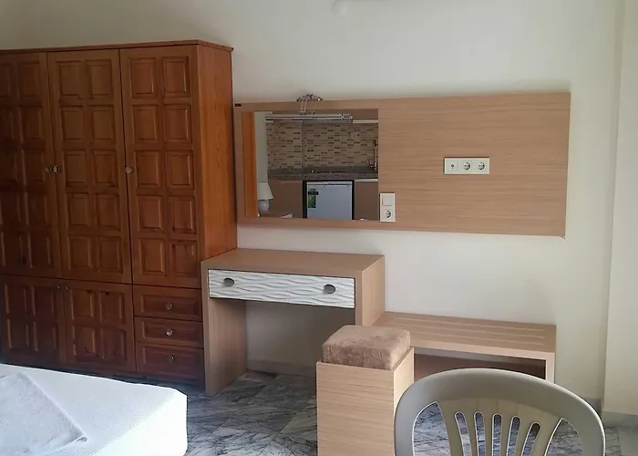 ホテル Sahin Palace 3*