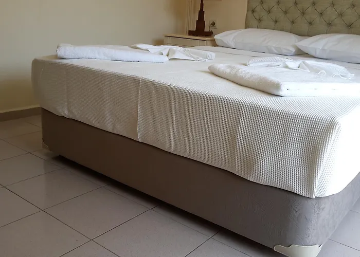 Sahin Palace 3* İçmeler