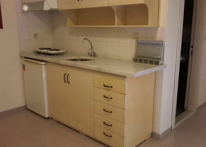 Sahin Palace İçmeler