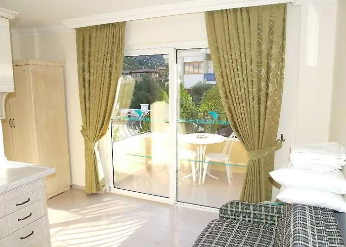 ホテル Sahin Palace 3*